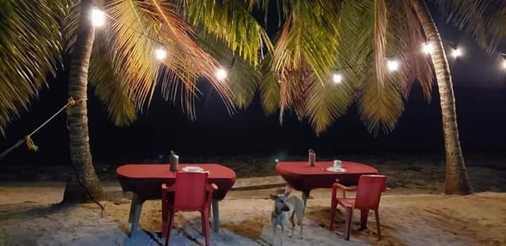 Casa Rural El Paraiso De Saona Mano Juan Εξωτερικό φωτογραφία